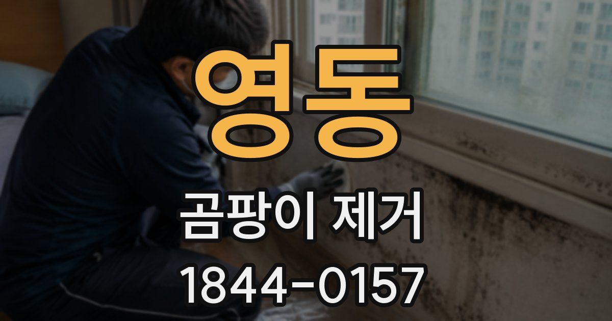 영동 곰팡이 제거