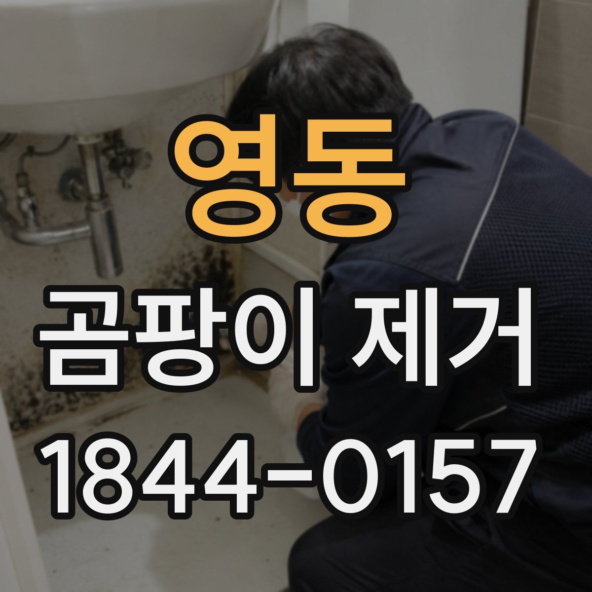 영동 곰팡이 제거