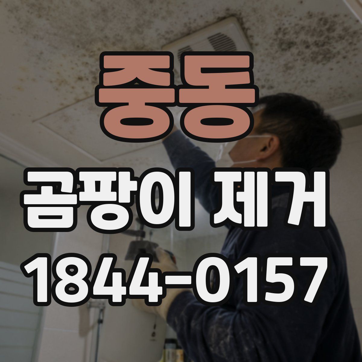 중동 곰팡이 제거