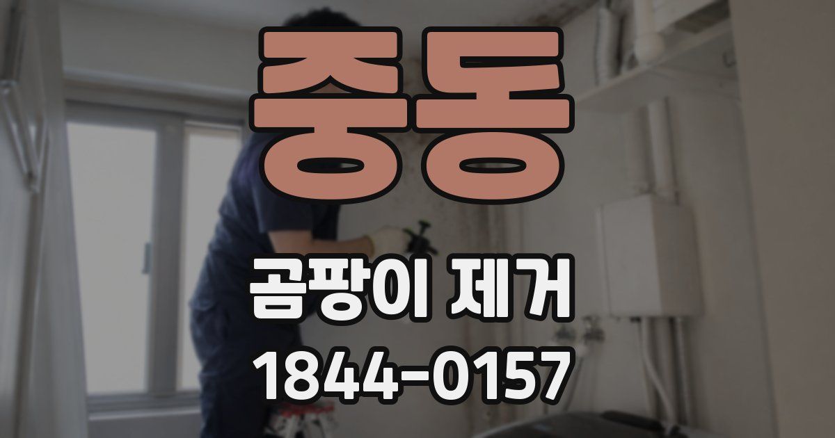 중동 곰팡이 제거