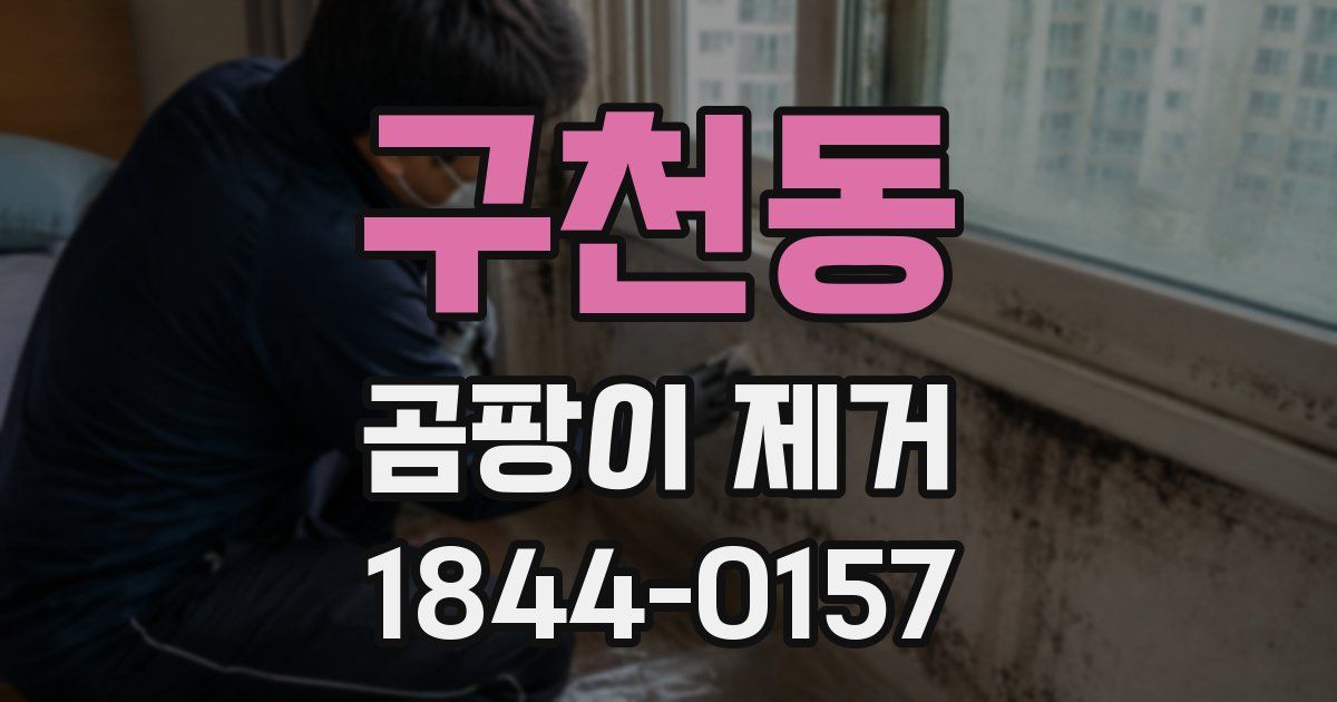 구천동 곰팡이 제거