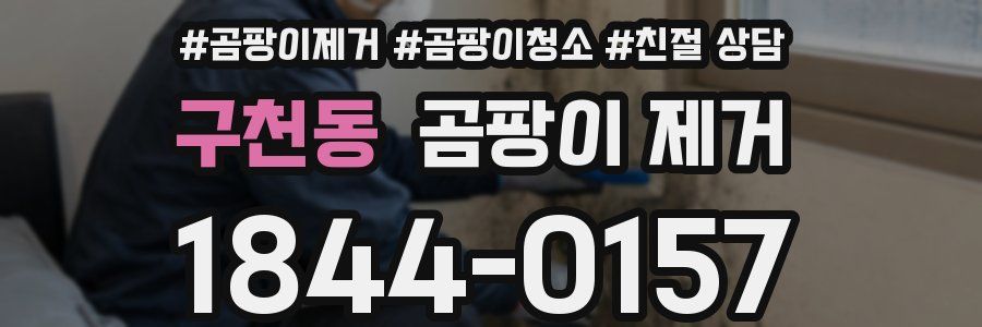 구천동 곰팡이 제거