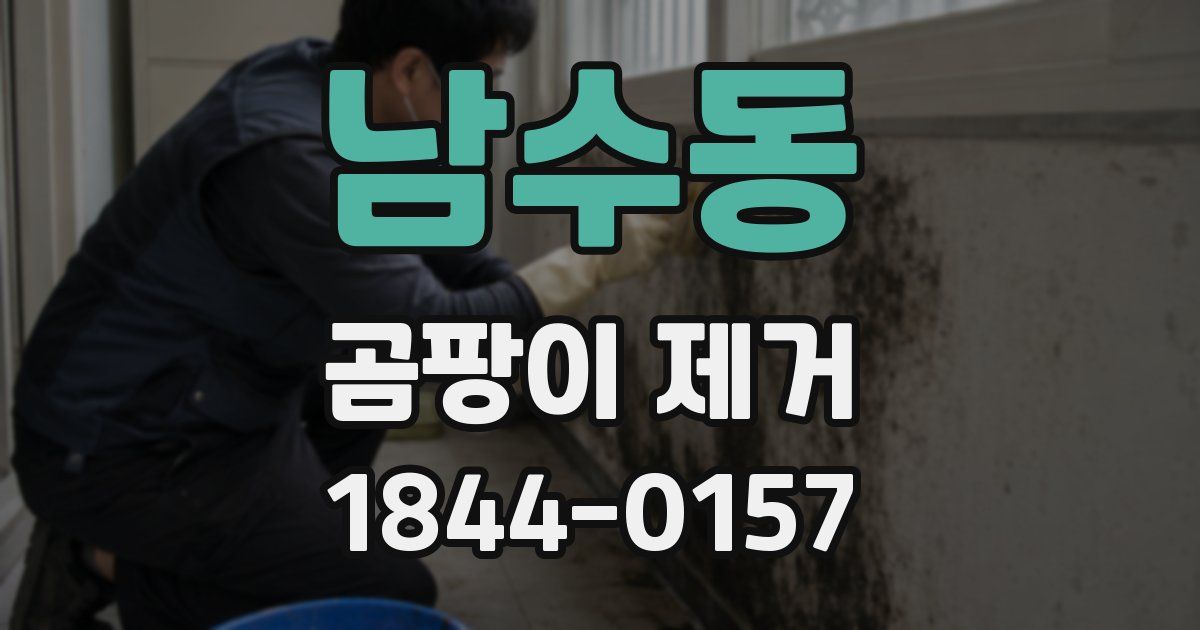 남수동 곰팡이 제거