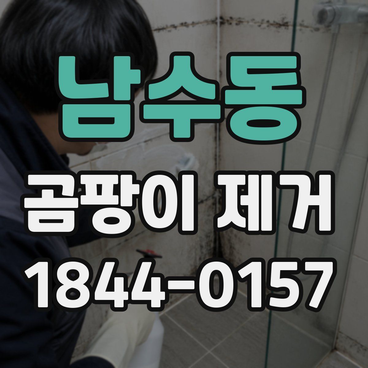남수동 곰팡이 제거