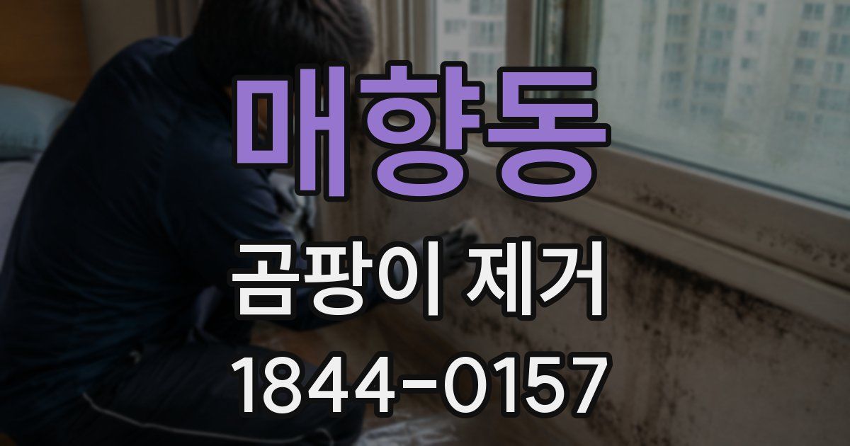 매향동 곰팡이 제거
