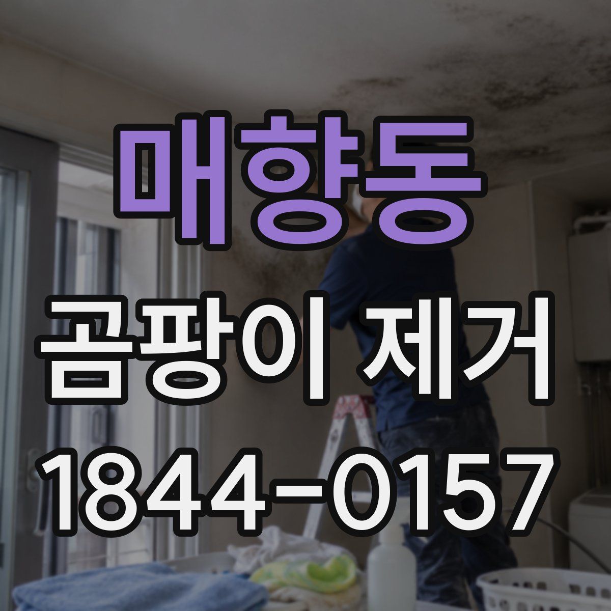 매향동 곰팡이 제거