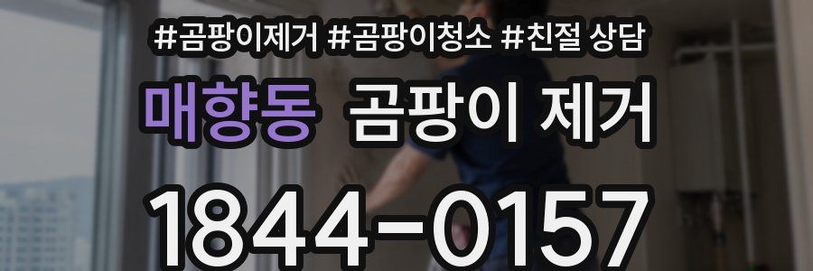매향동 곰팡이 제거