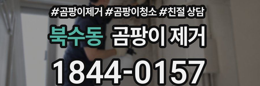 북수동 곰팡이 제거