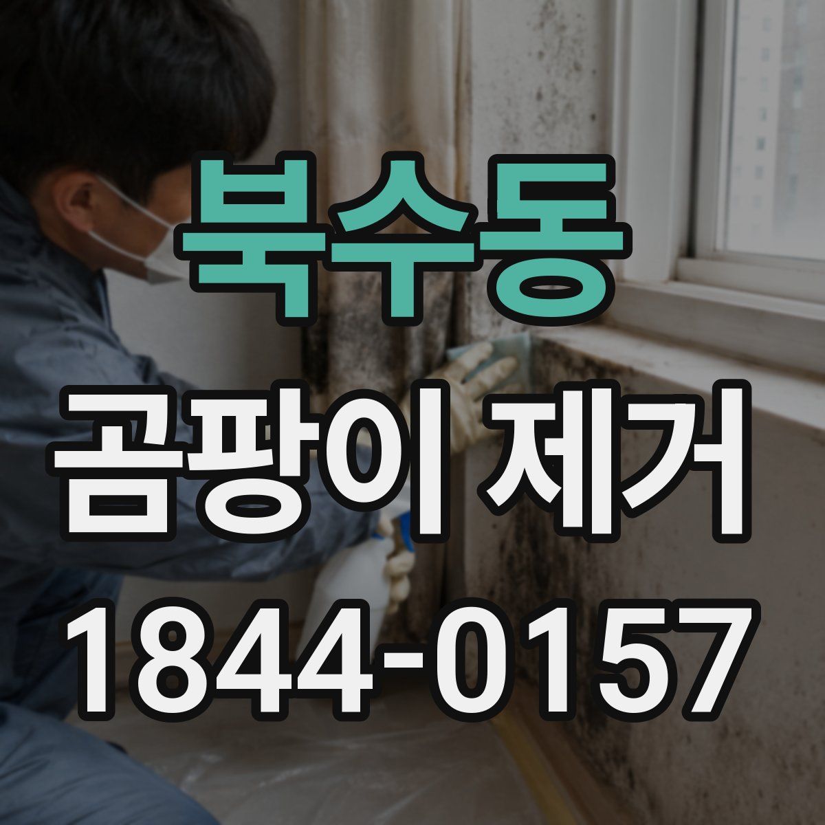 북수동 곰팡이 제거