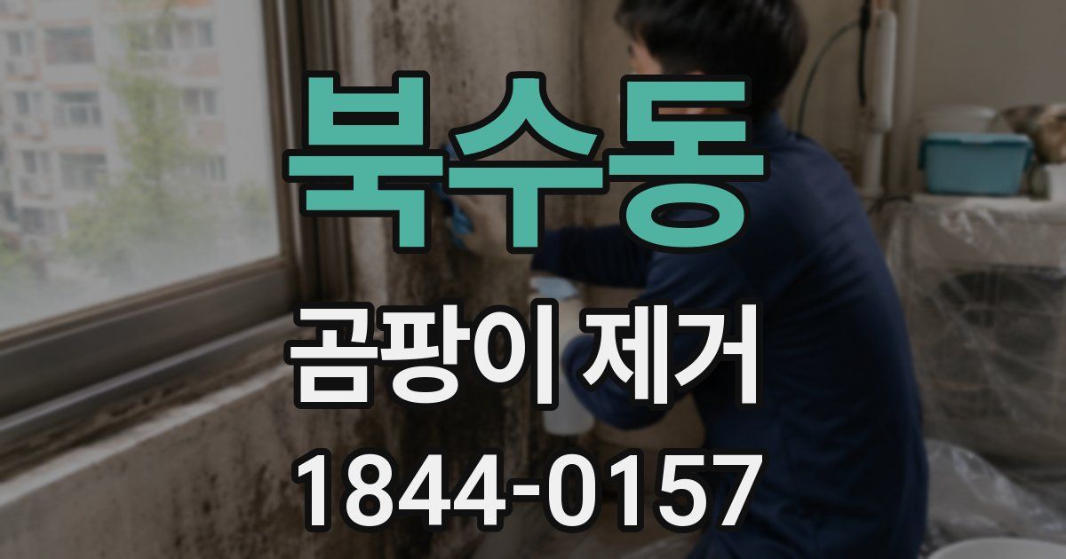 북수동 곰팡이 제거