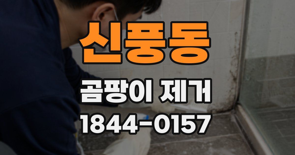 신풍동 곰팡이 제거