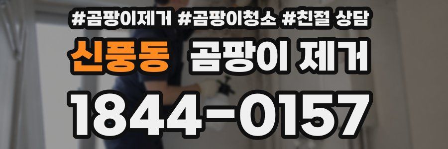 신풍동 곰팡이 제거
