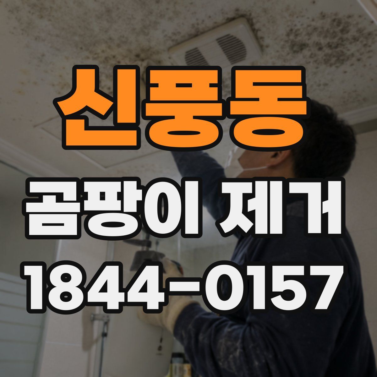 신풍동 곰팡이 제거