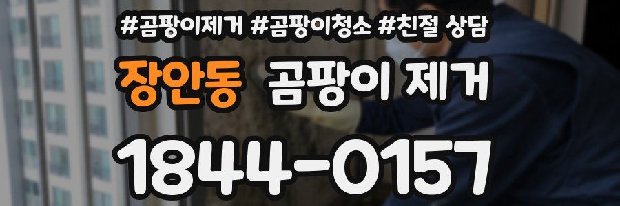 장안동 곰팡이 제거