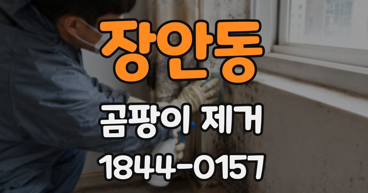 장안동 곰팡이 제거