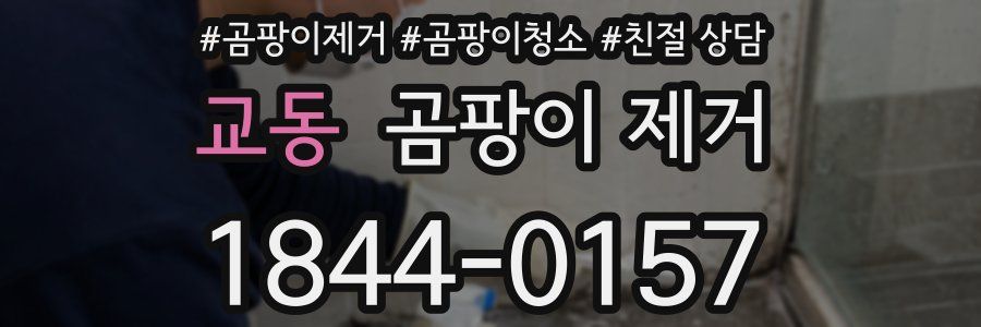교동 곰팡이 제거