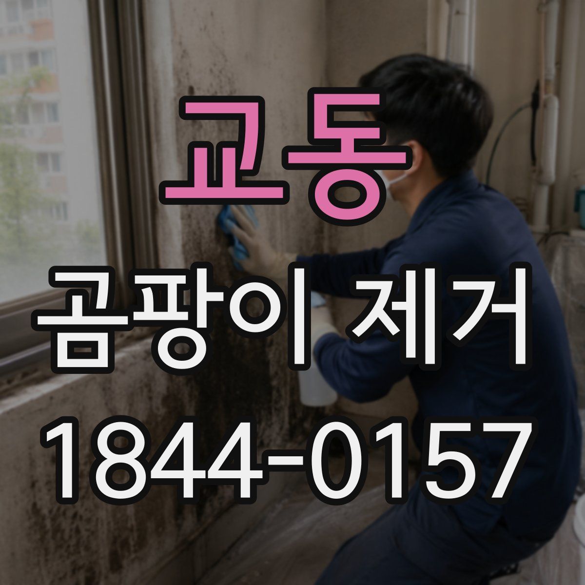 교동 곰팡이 제거