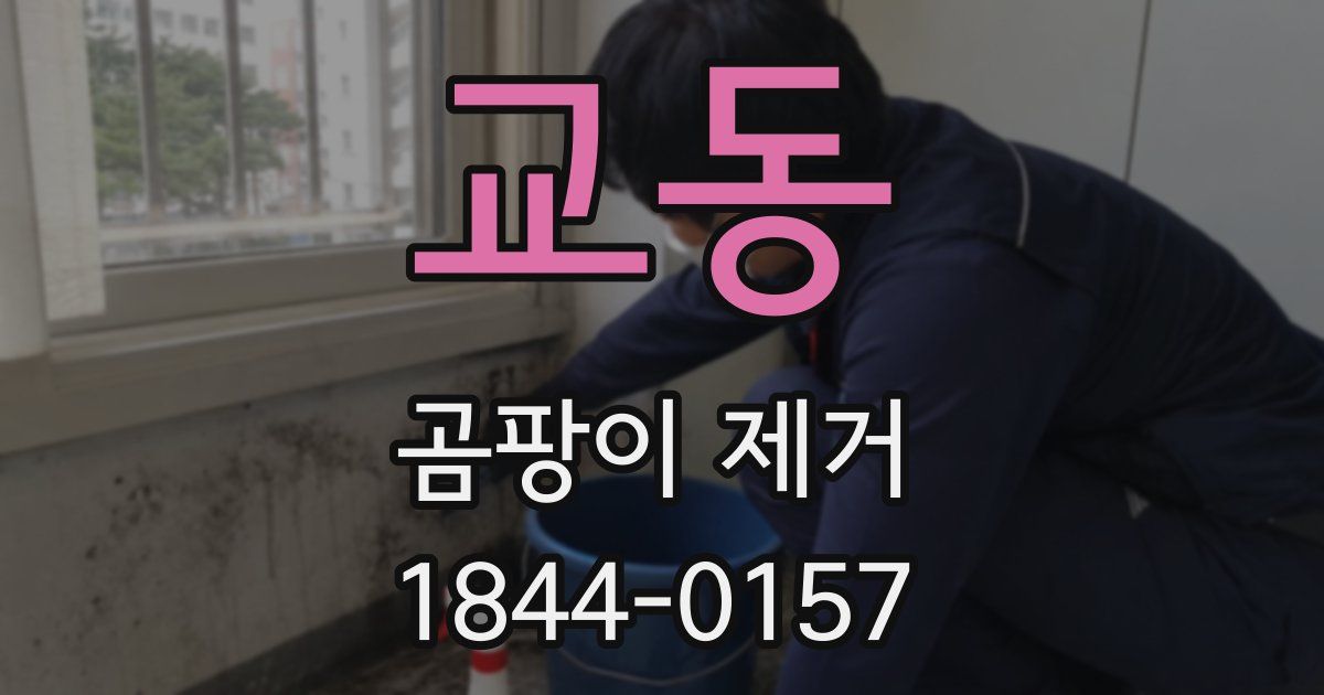 교동 곰팡이 제거