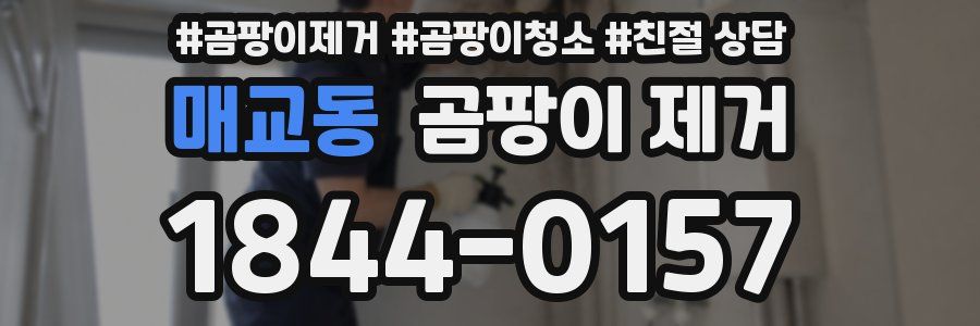 매교동 곰팡이 제거