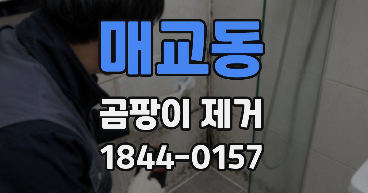 매교동 곰팡이 제거