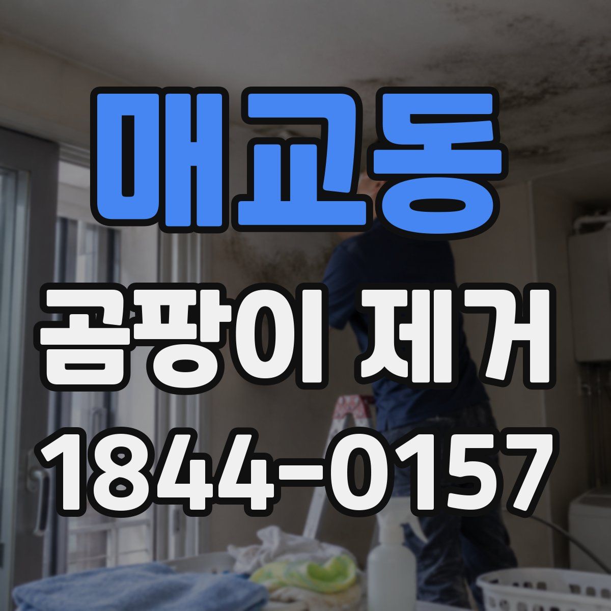 매교동 곰팡이 제거