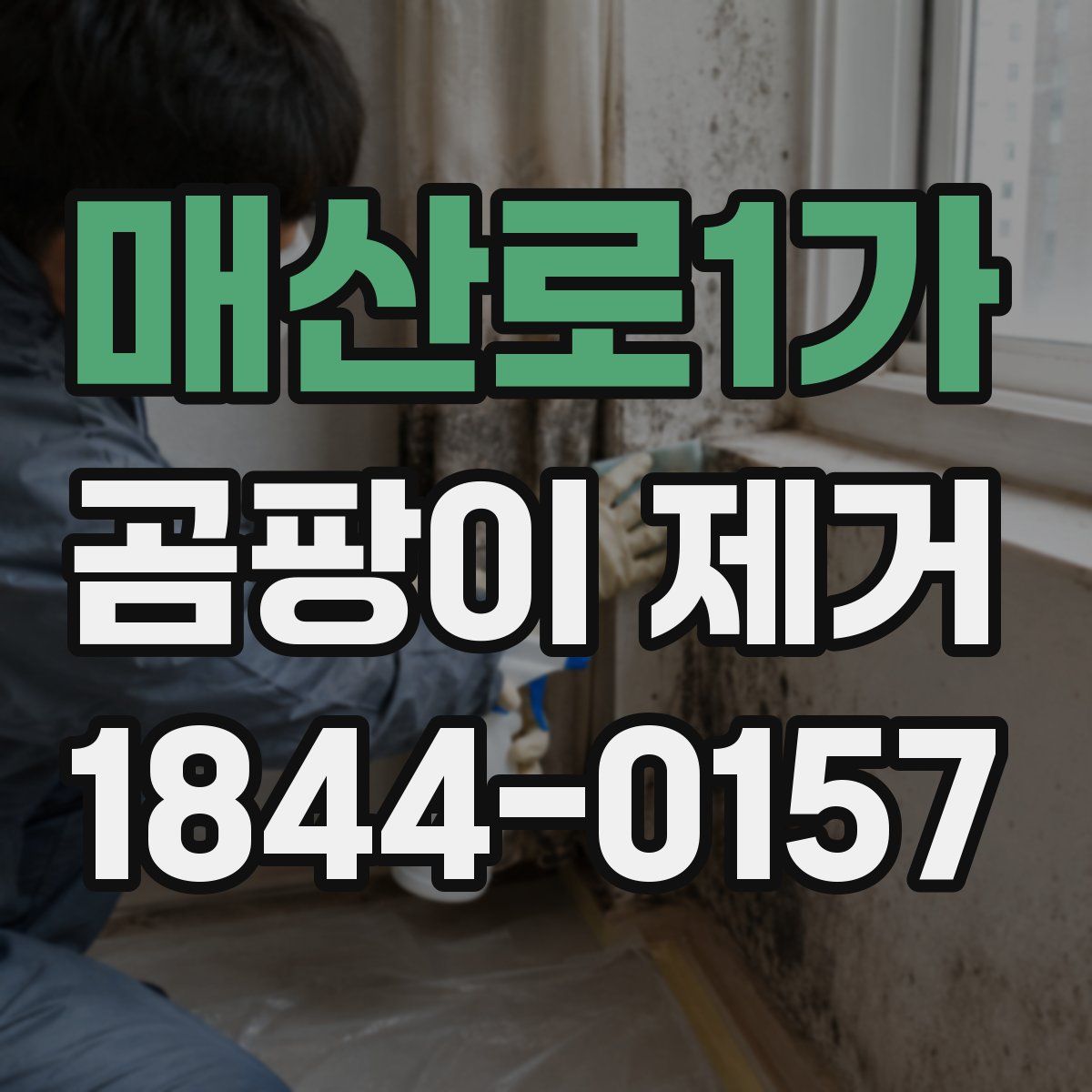 매산로1가 곰팡이 제거