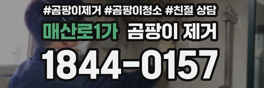 매산로1가 곰팡이 제거