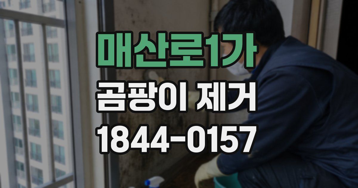매산로1가 곰팡이 제거