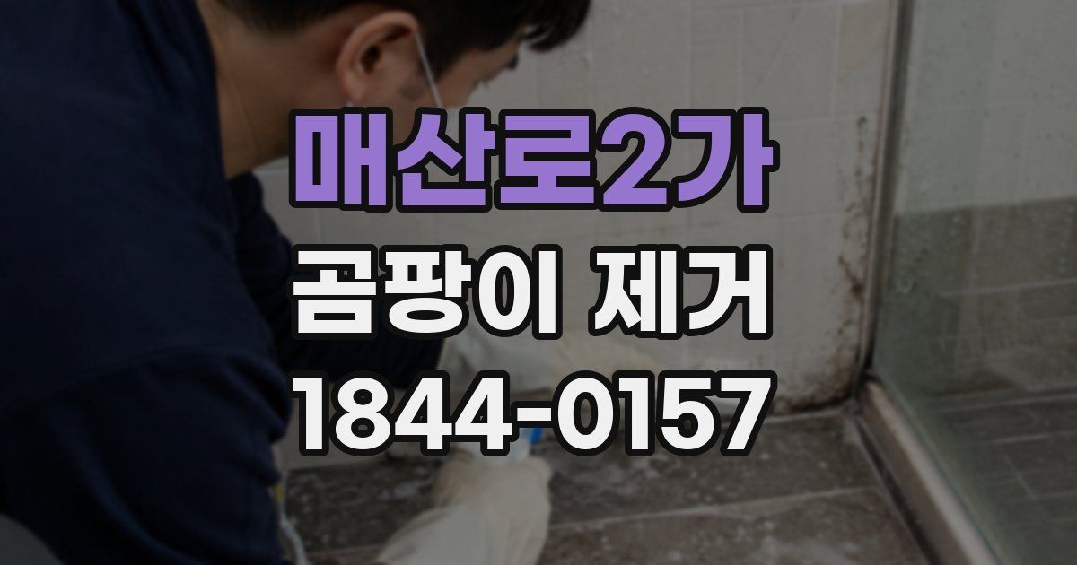 매산로2가 곰팡이 제거