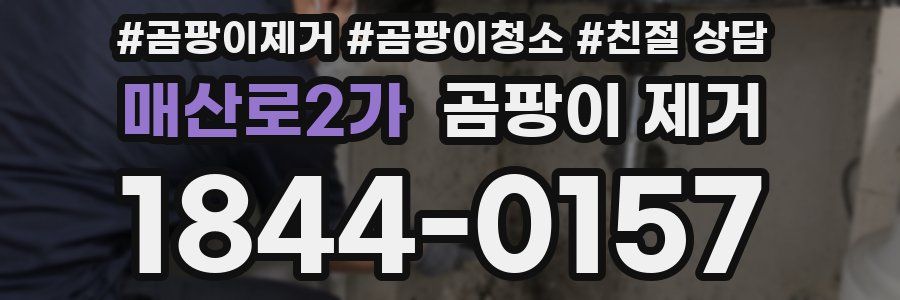 매산로2가 곰팡이 제거