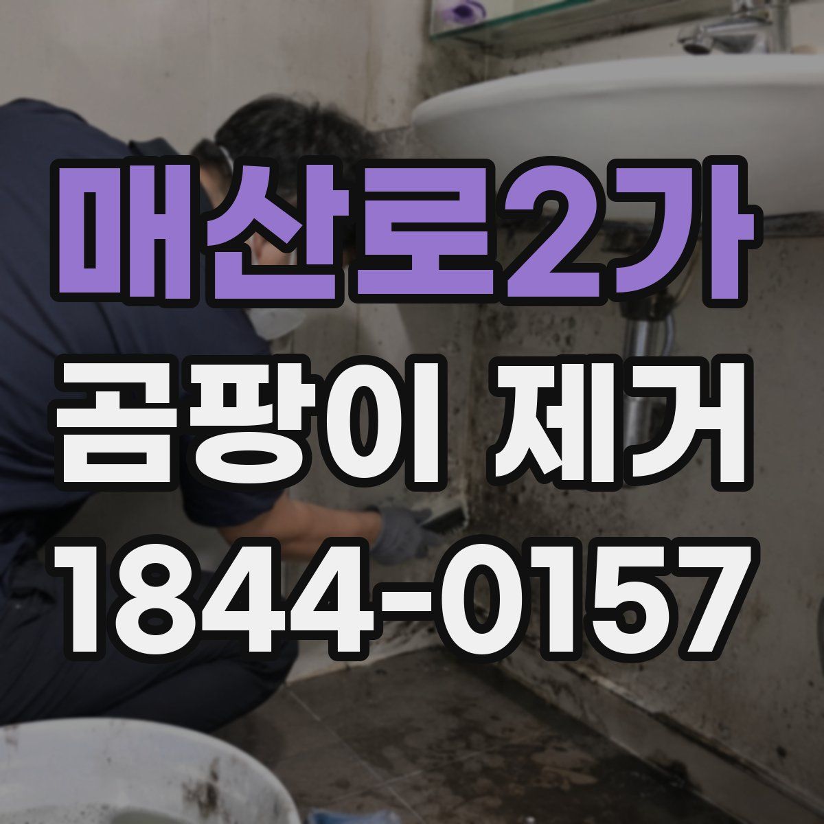 매산로2가 곰팡이 제거