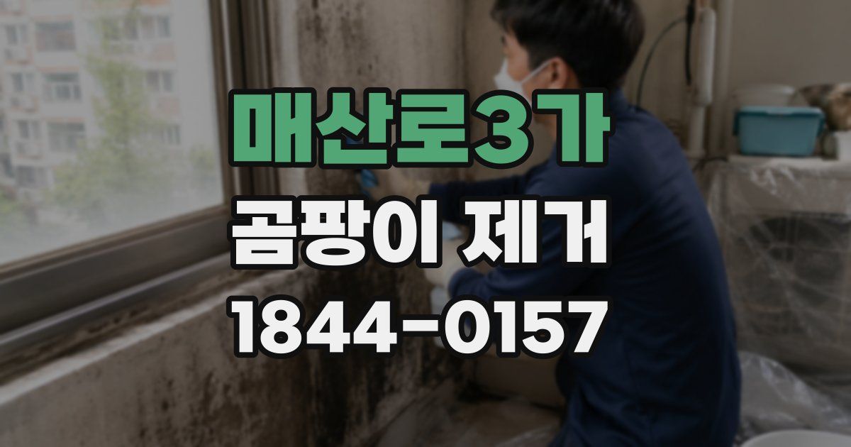 매산로3가 곰팡이 제거