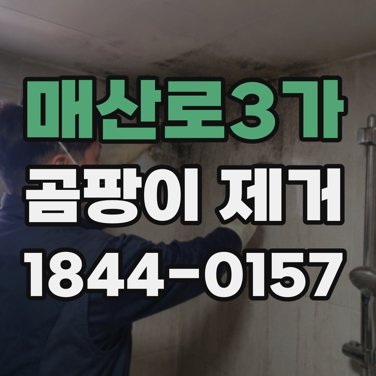 매산로3가 곰팡이 제거