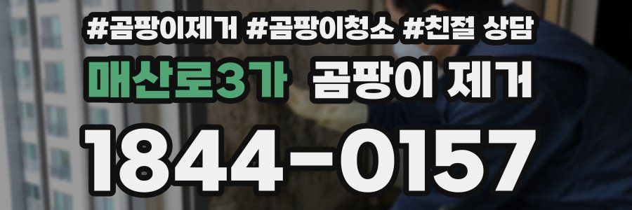 매산로3가 곰팡이 제거