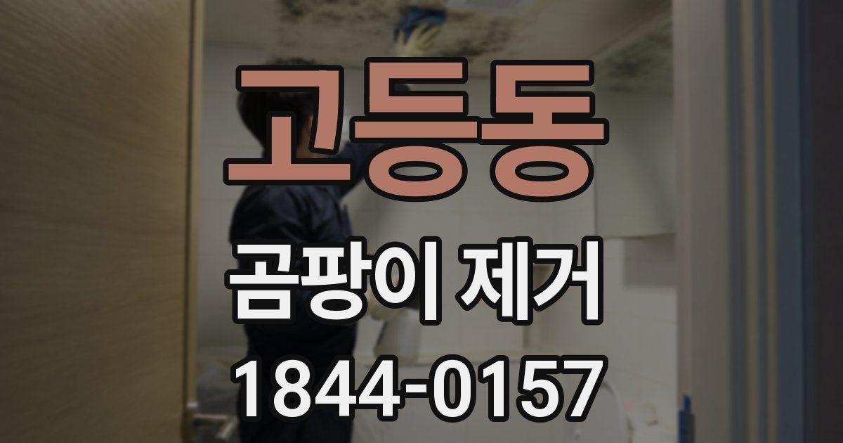 고등동 곰팡이 제거