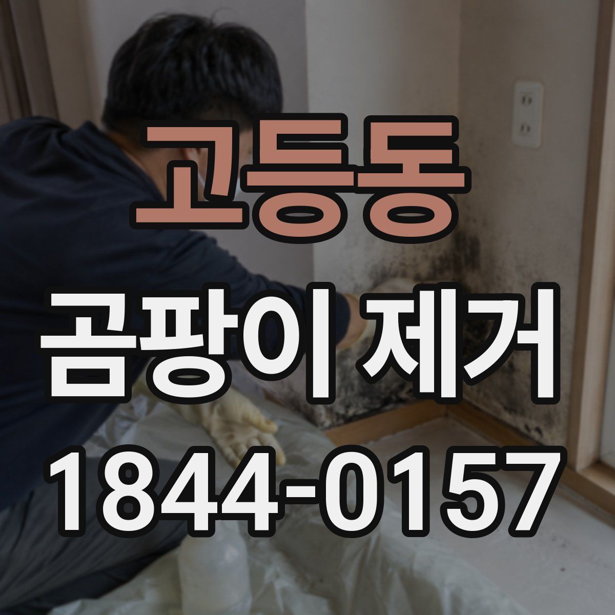 고등동 곰팡이 제거