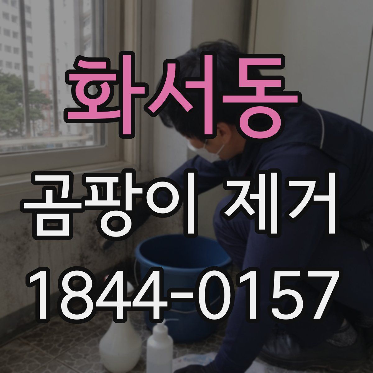 화서동 곰팡이 제거