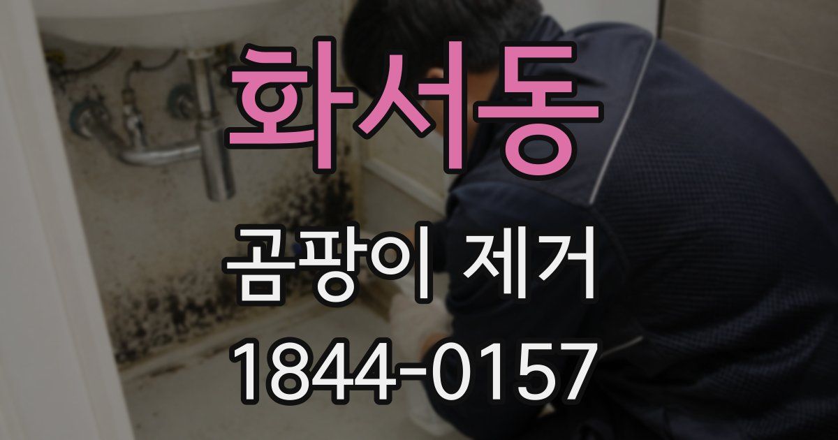 화서동 곰팡이 제거
