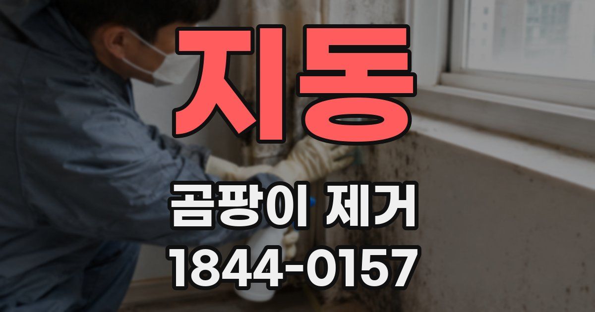 지동 곰팡이 제거