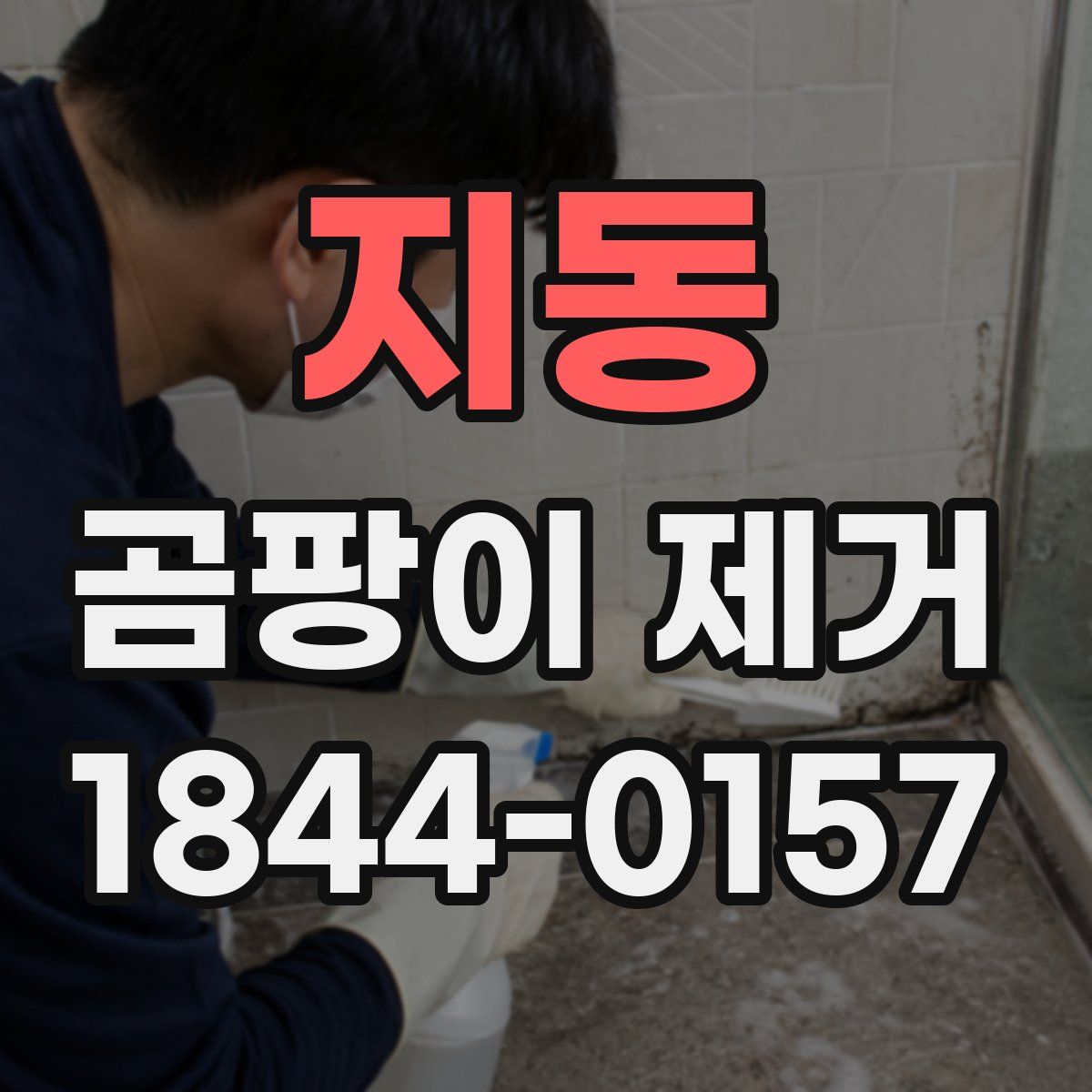 지동 곰팡이 제거