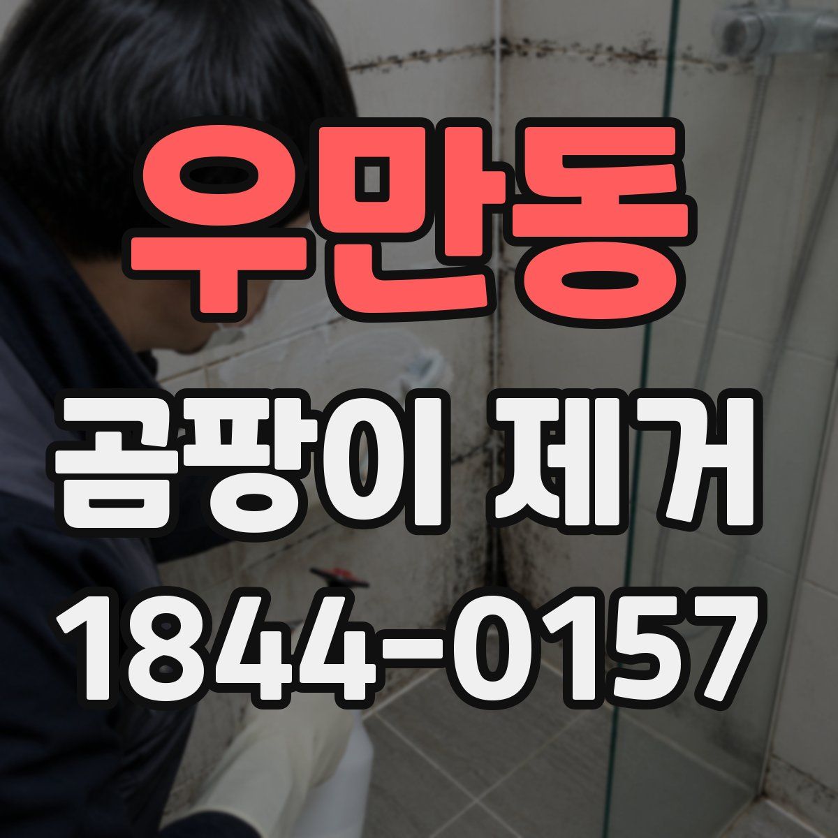 우만동 곰팡이 제거