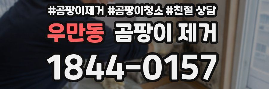 우만동 곰팡이 제거