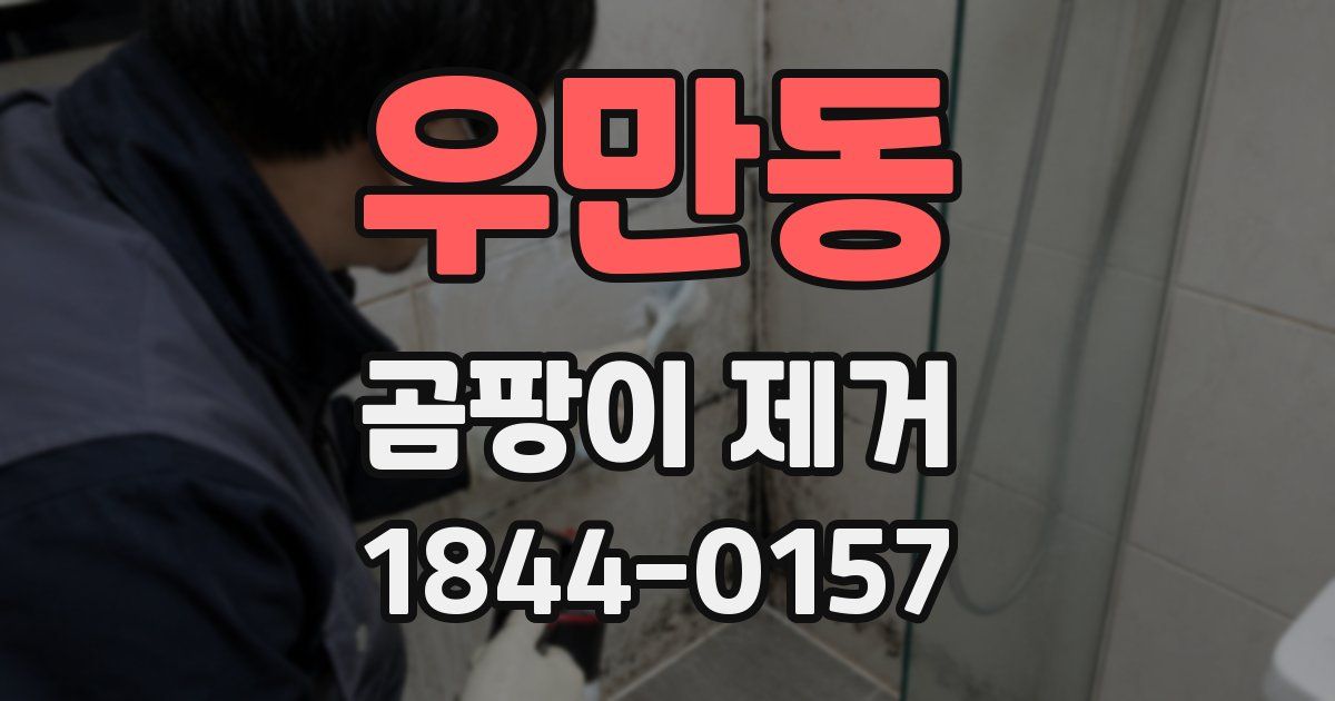우만동 곰팡이 제거