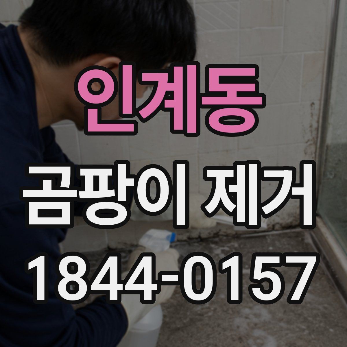 인계동 곰팡이 제거 전문 작업이 필요한 경우 알아보기