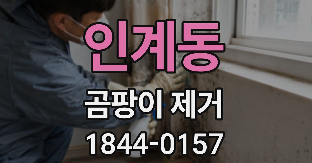 인계동 곰팡이 제거