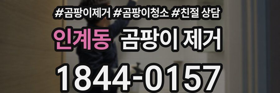 인계동 곰팡이 제거