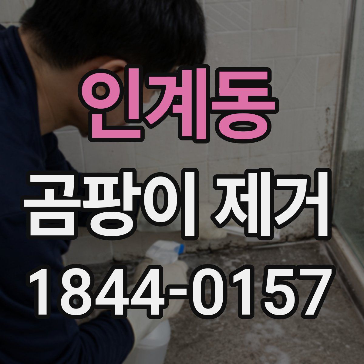 인계동 곰팡이 제거