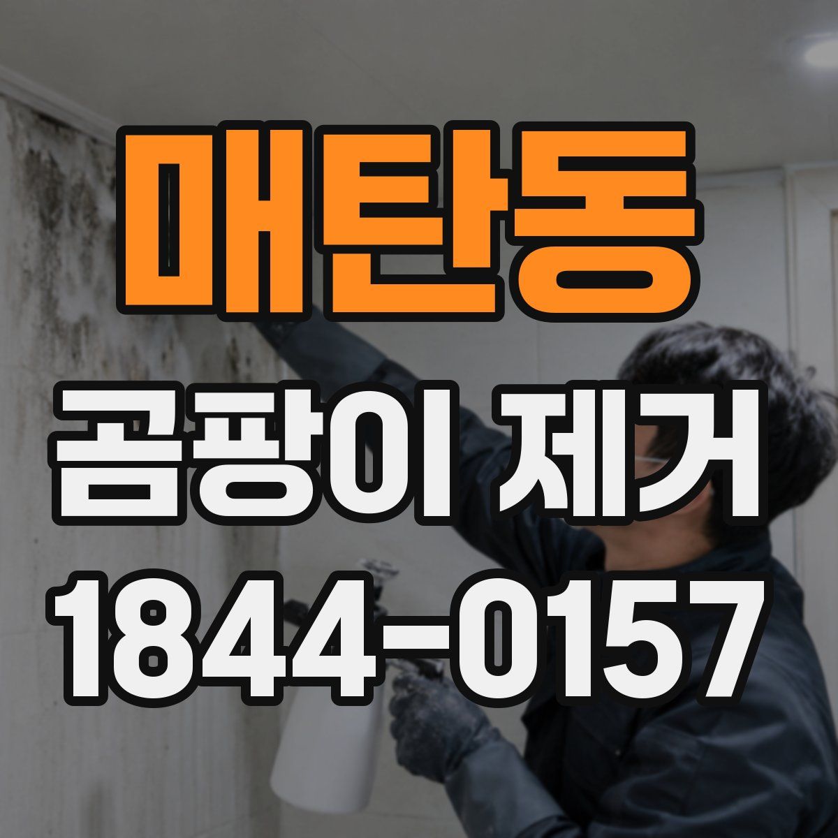 매탄동 곰팡이 제거