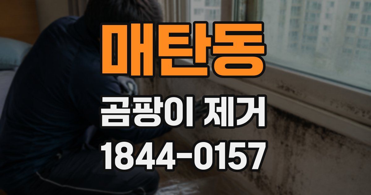 매탄동 곰팡이 제거