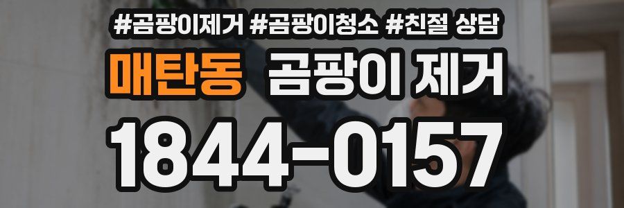 매탄동 곰팡이 제거
